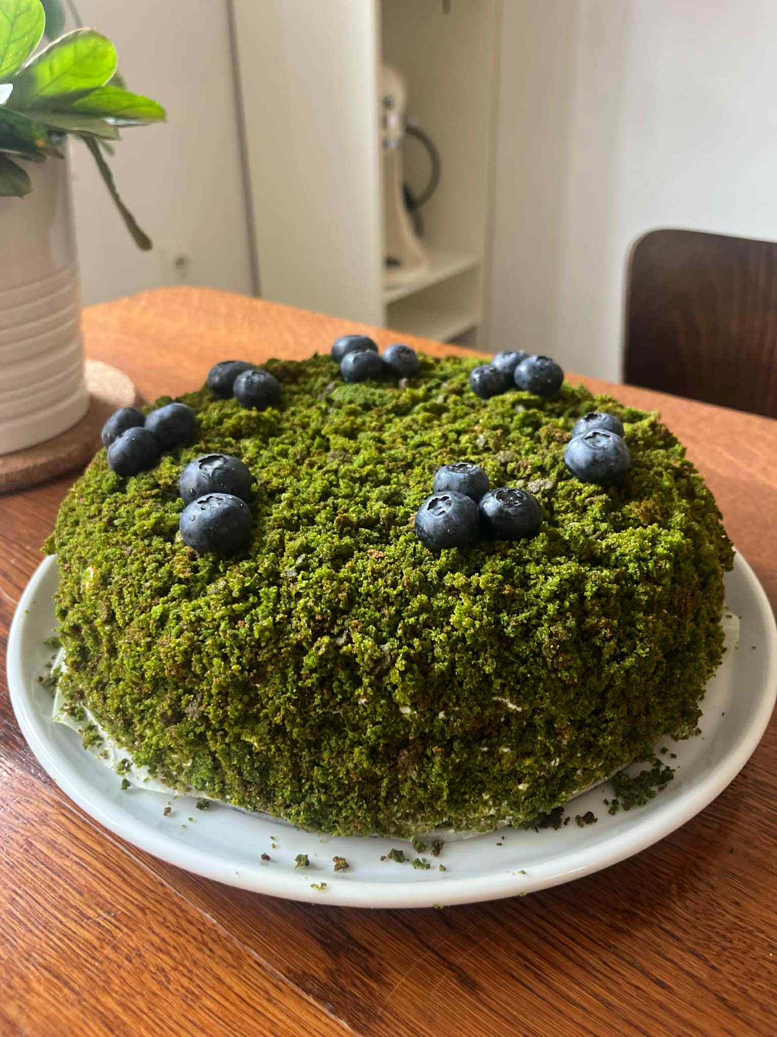 Mechový dort Mechový dort