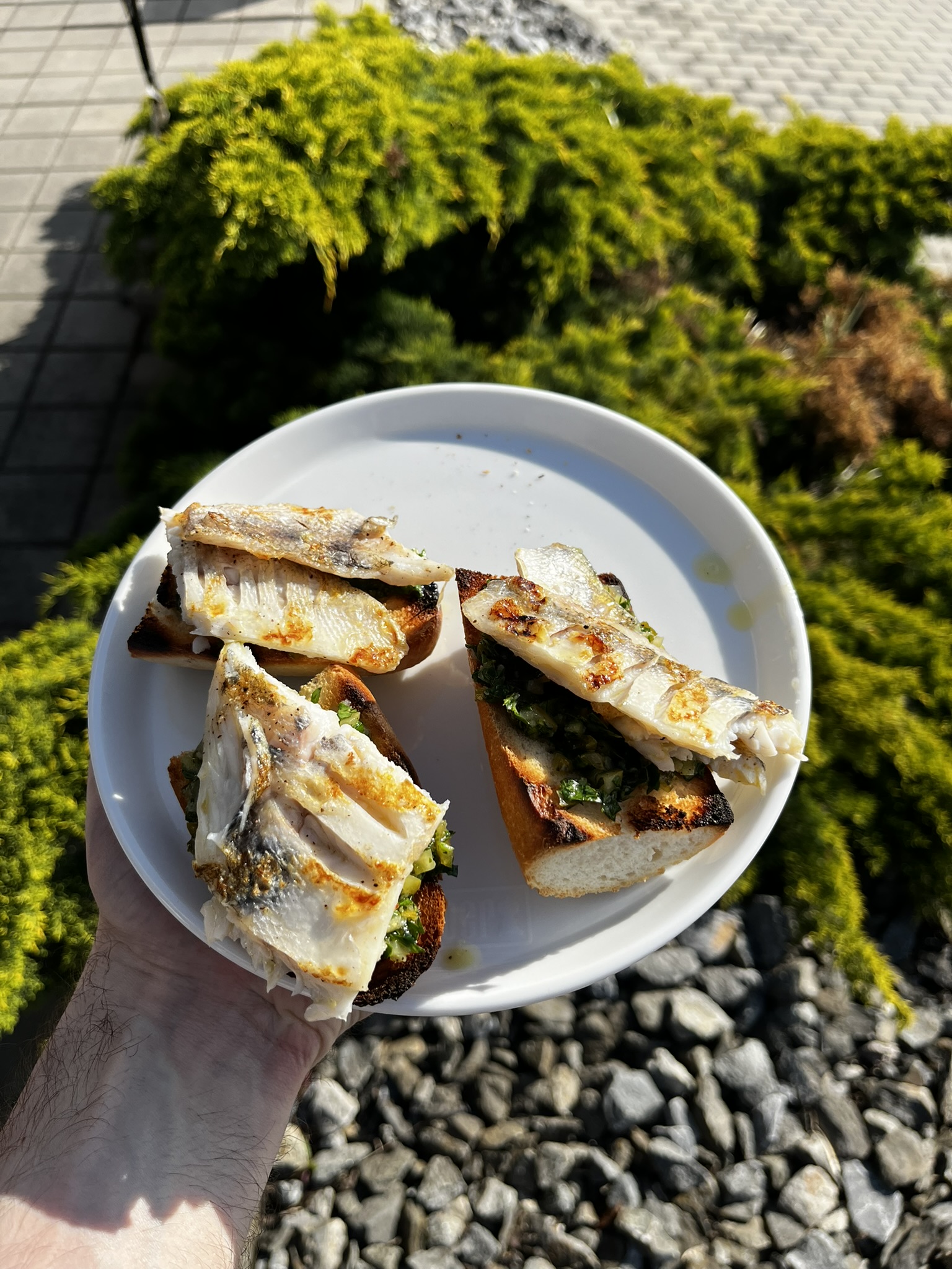 Candát na grilu se salsa verde - na talíři 1