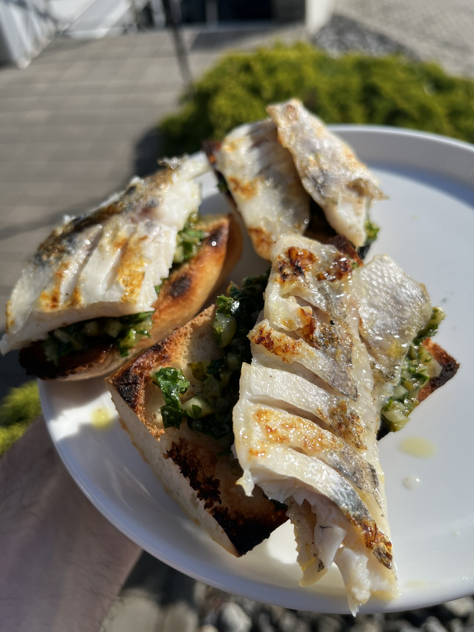 Candát na grilu se salsa verde - na talíři 2
