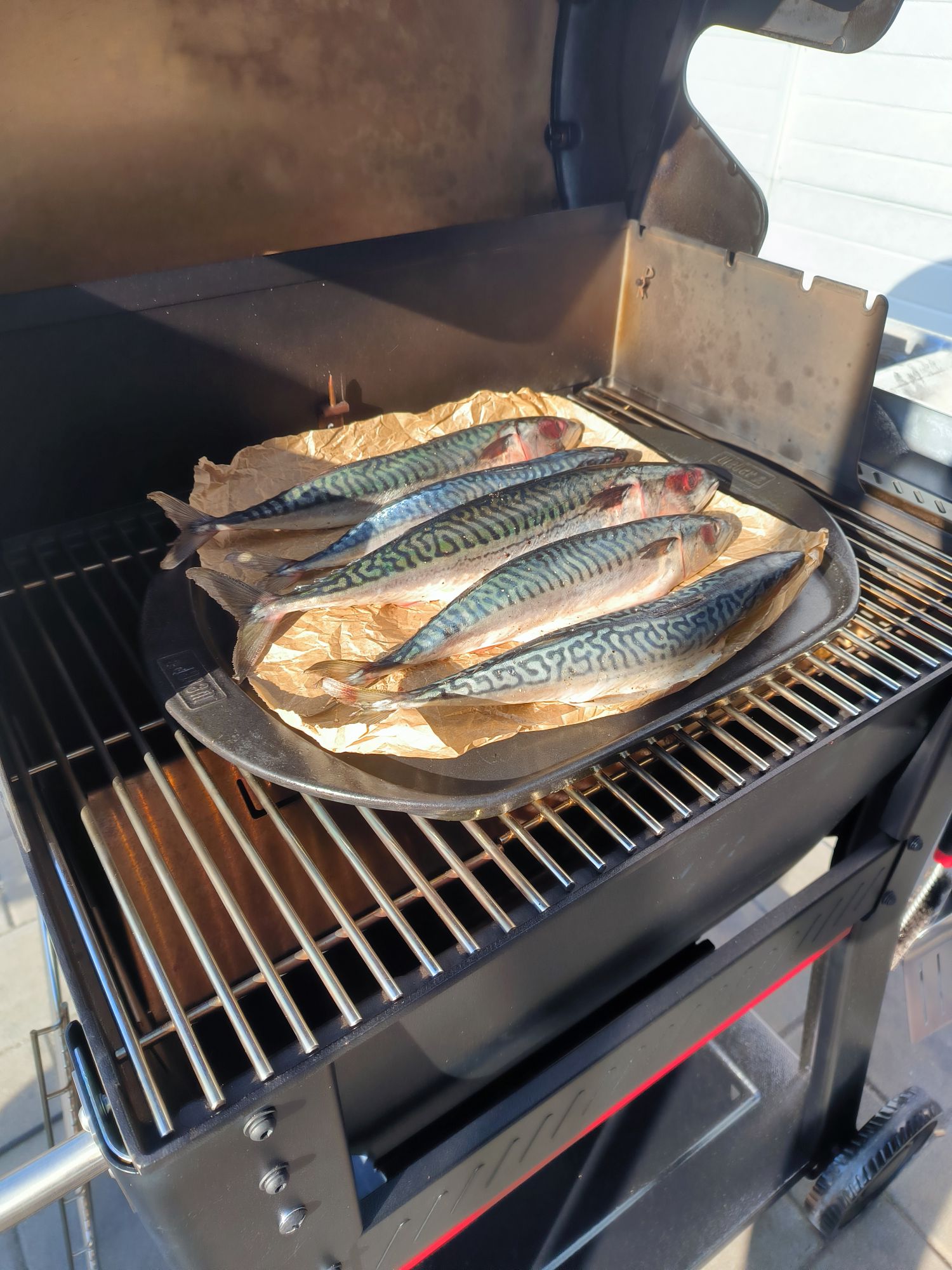 Grilovaná makrela - umístění na gril Grilovaná makrela - umístění na gril