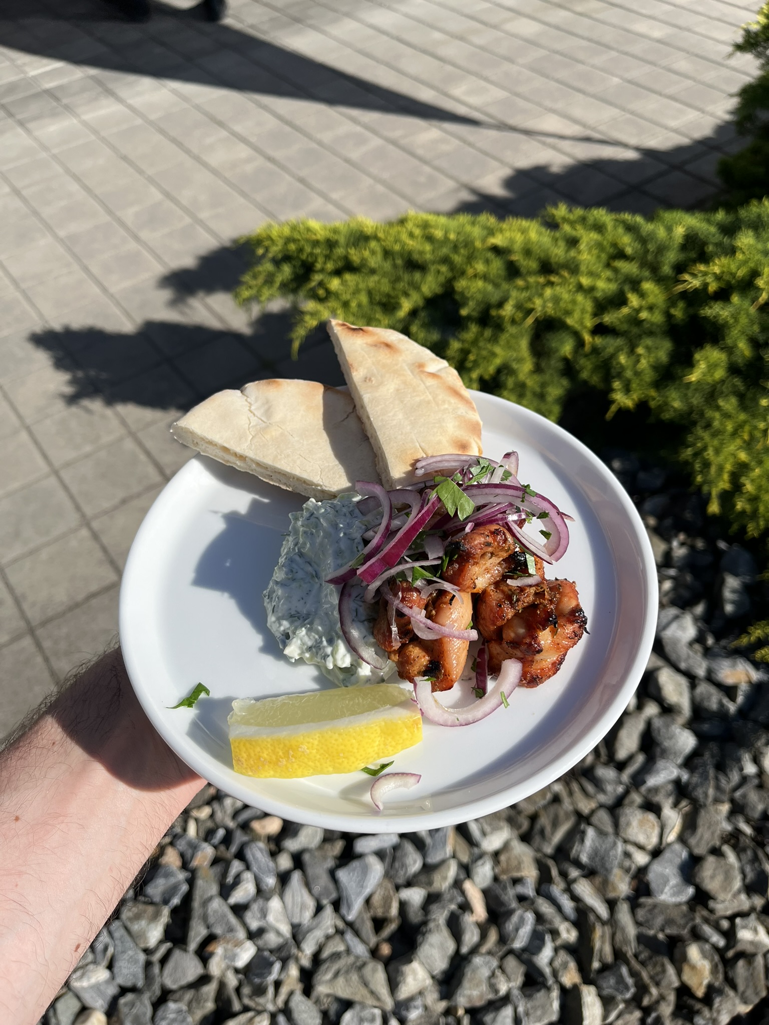 Řecké kuřecí souvlaki na grilu - na talíři s tzatziki