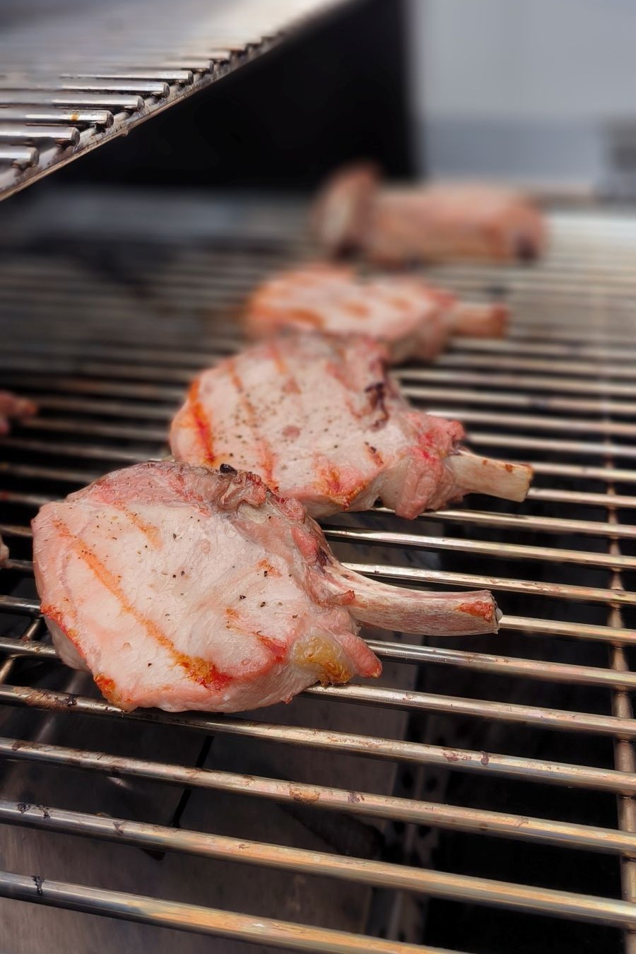 Grilované vepřové kotlety - hotové na grilu Grilované vepřové kotlety - hotové na grilu