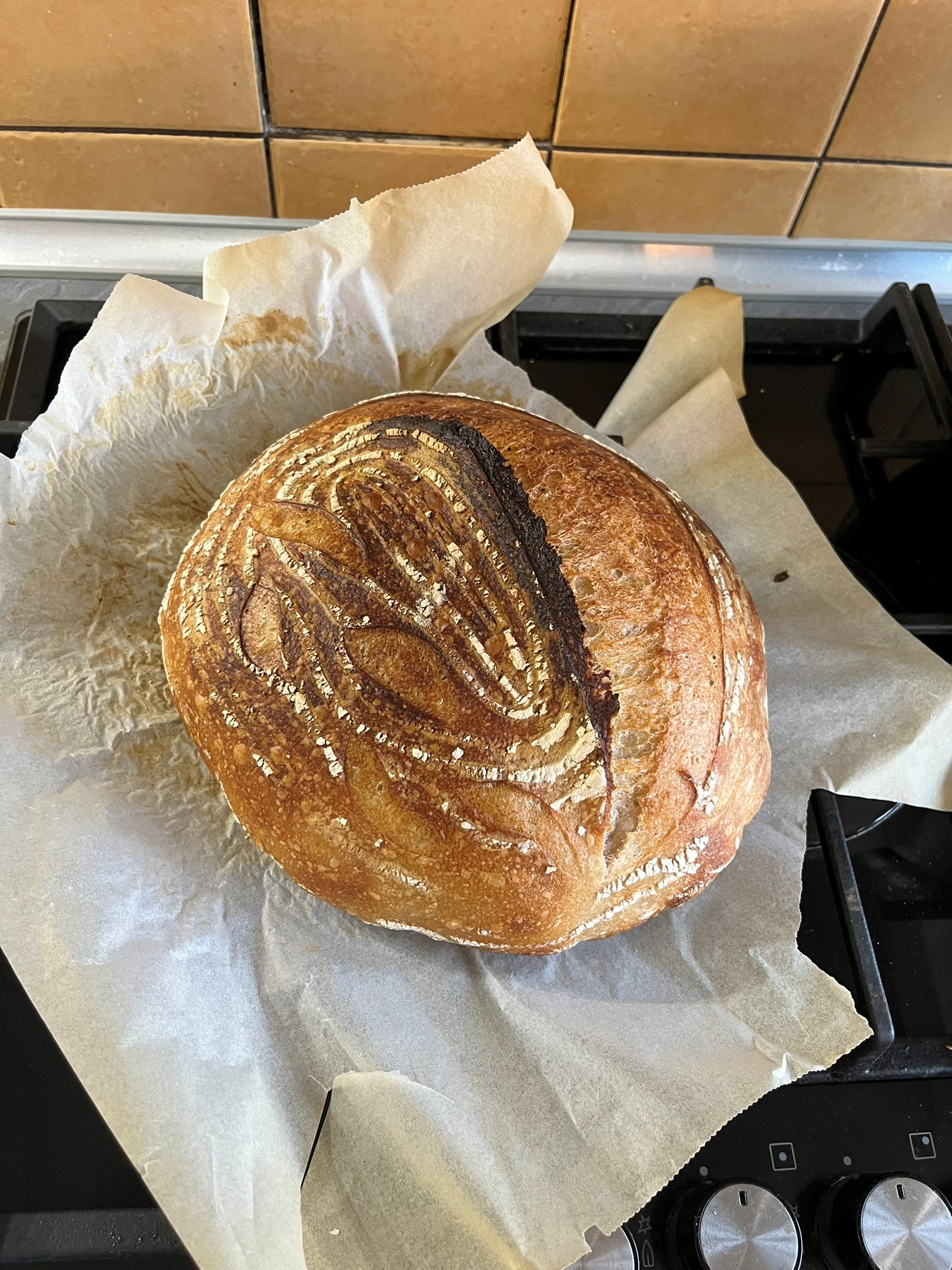 Domácí kváskový chleba pšenično-žitný - chleba po upečení Domácí kváskový chleba pšenično-žitný - chleba po upečení