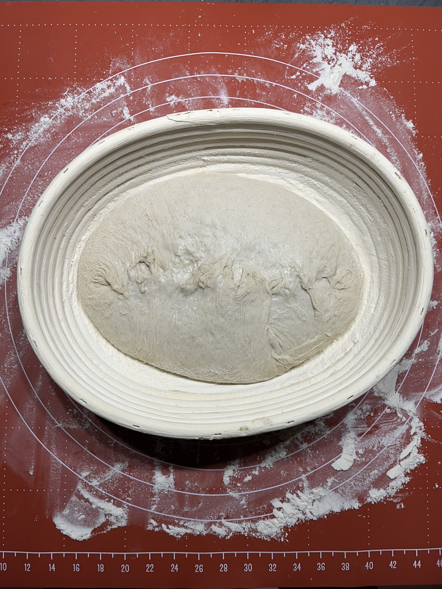 Domácí kváskový chleba pšenično-žitný - těsto po tvarování v ošatce