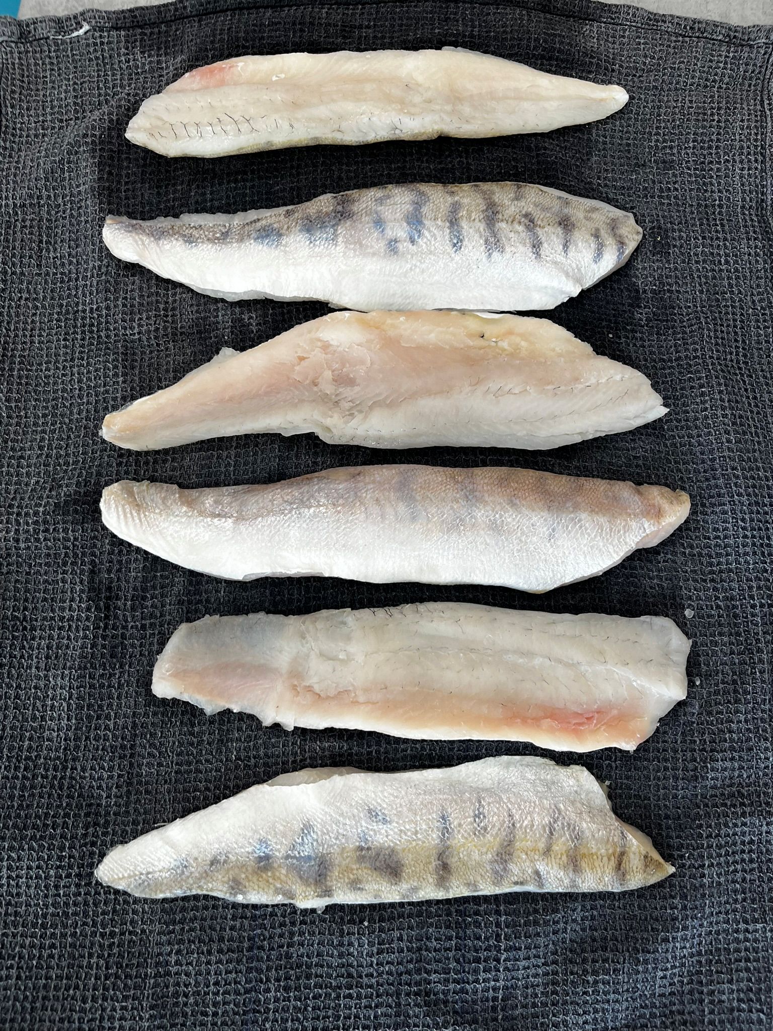 Candát na grilu se salsa verde - připravený candát Candát na grilu se salsa verde - připravený candát