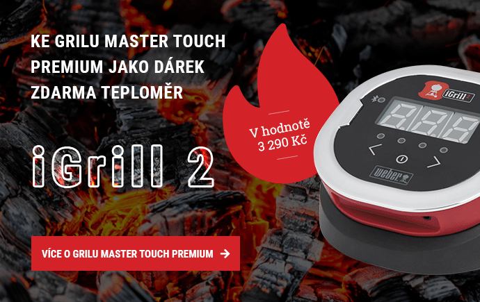 Master Touch iGrill 2