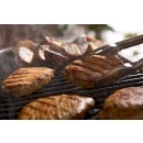 Elektrický gril Weber Lumin Compact Stand