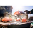 Elektrický gril Weber Lumin Stand