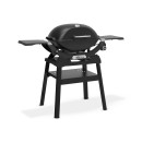 Plynový gril Weber Q2200N Stand