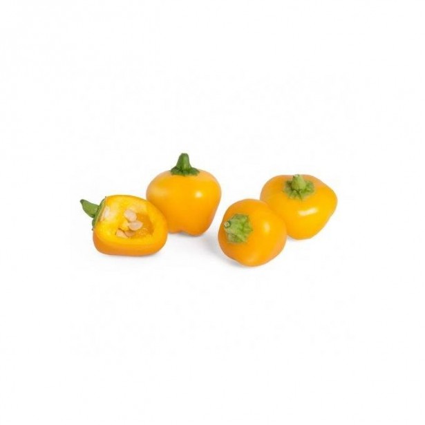 Véritable Lingot Mini žlutá paprika