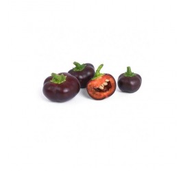 Véritable Lingot Mini čokoládová paprika