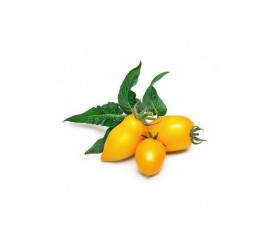 Véritable Lingot Mini žlutá rajčata