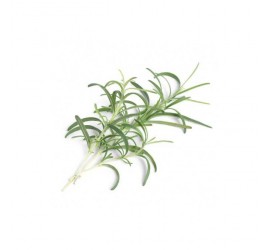Véritable Lingot Rozmarýn