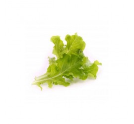 Véritable Lingot Dubový salát