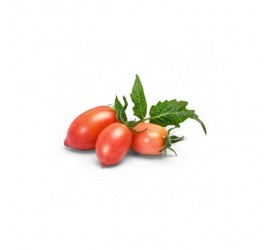 Véritable Lingot Mini růžová rajčata
