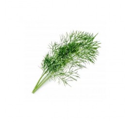 Véritable Lingot Kopr