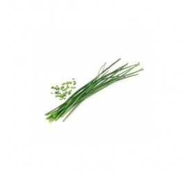 Véritable Lingot Pažitka