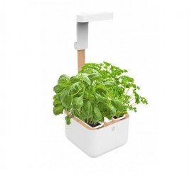 Chytrý květináč Véritable Botaneo Eylo + 2 lingoty